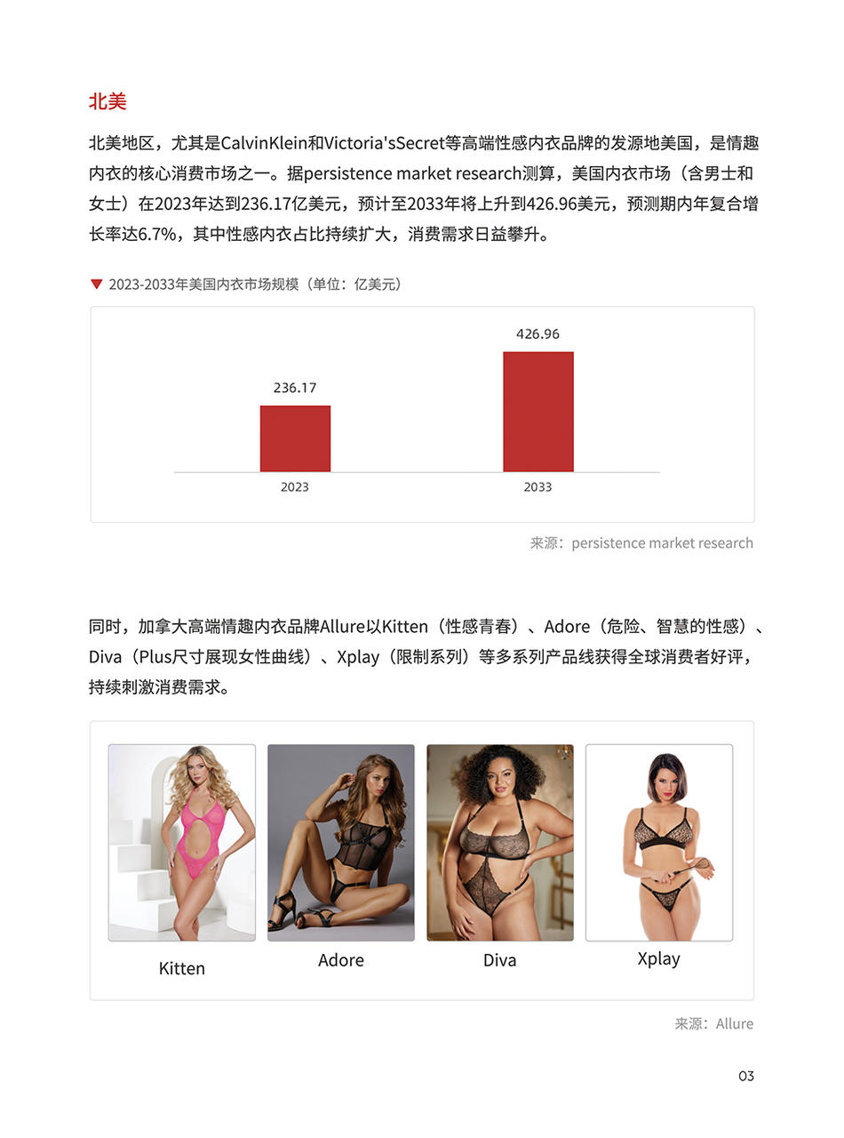 情趣内衣类目选品手册 | 跨境电商选品