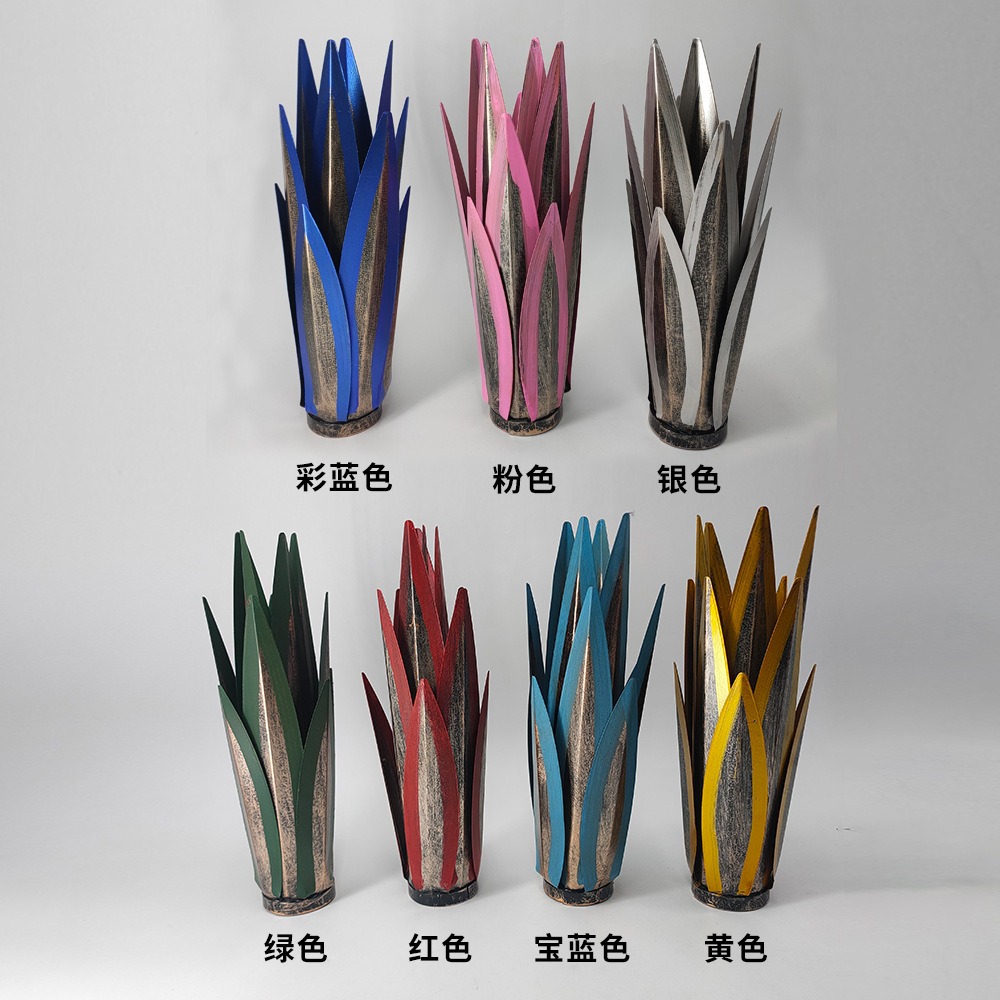 龙舌兰装饰植物