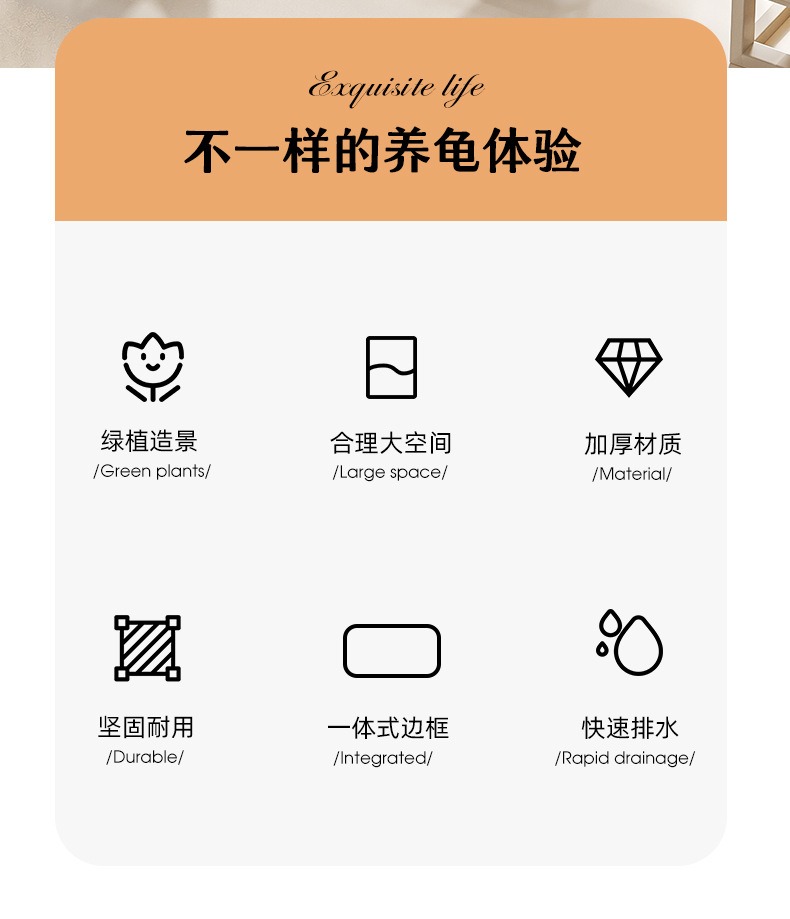 造景乌龟缸