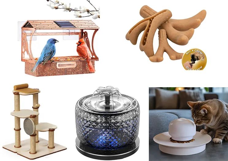 速看立即避开侵权风险！40款亚马逊热销产品已下证，涵盖多品类！