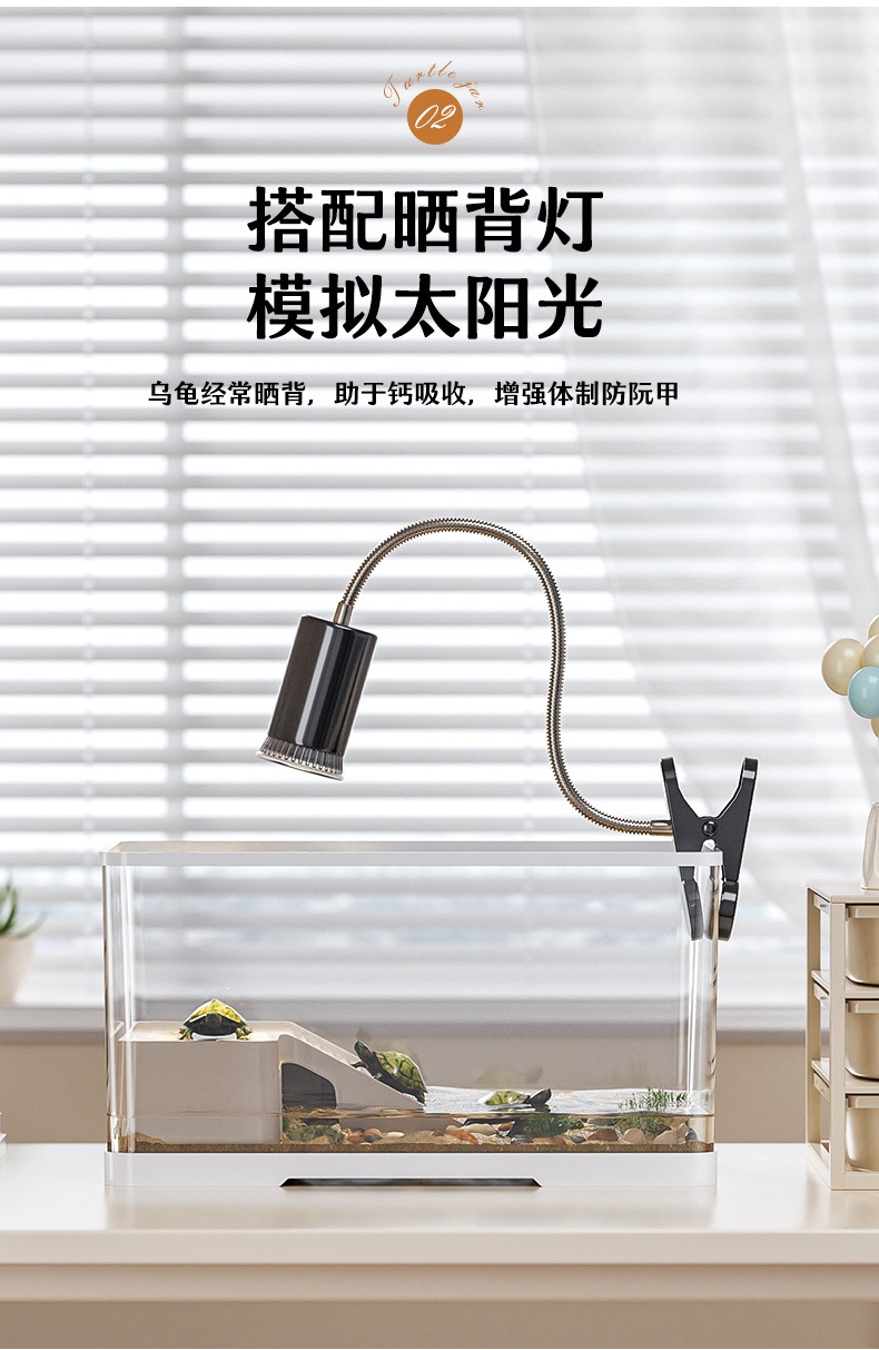 造景乌龟缸