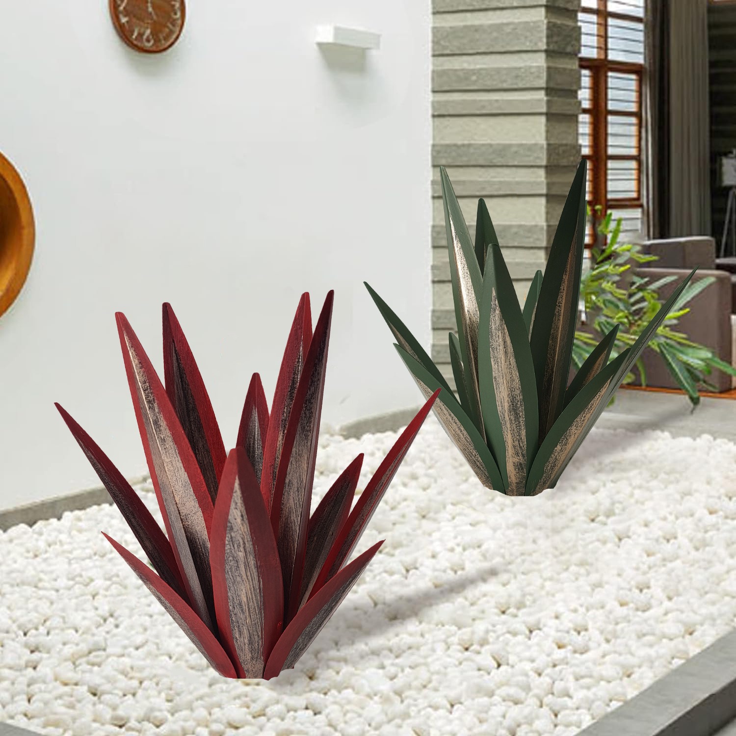 龙舌兰装饰植物