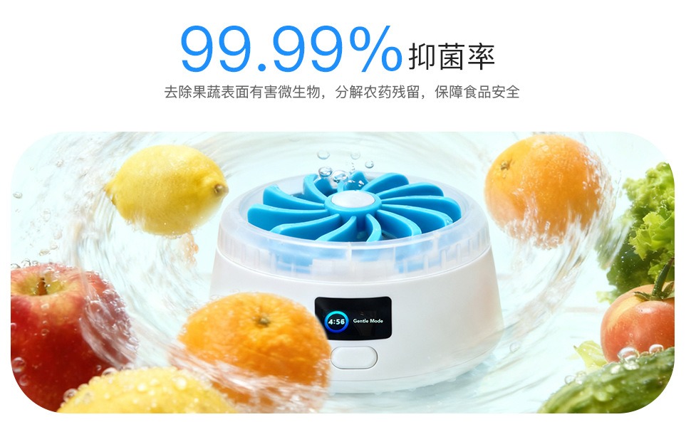 果蔬清洗机 2 果蔬清洗机