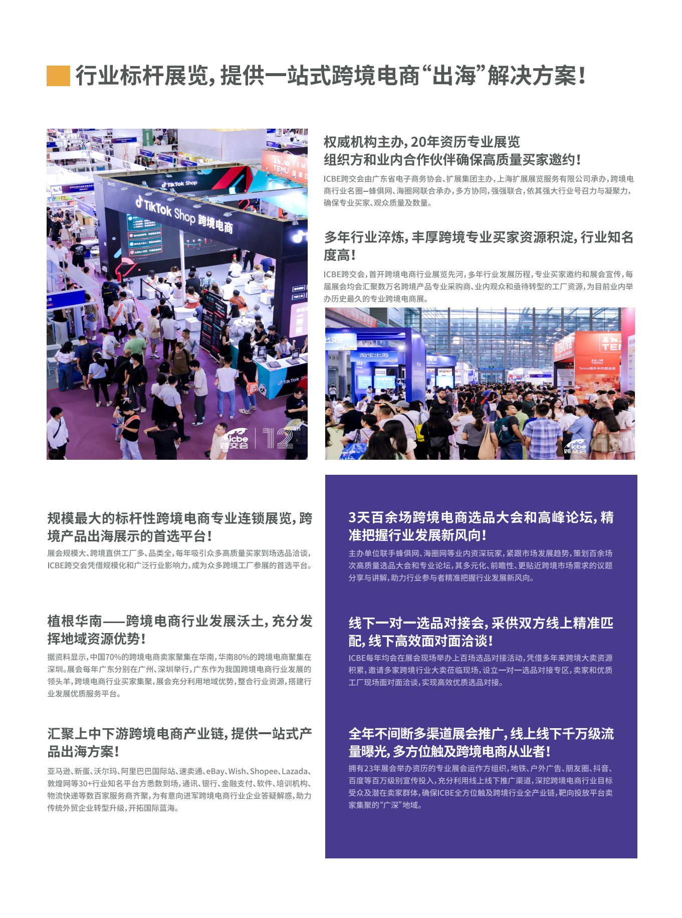 ICBE广州国际跨境电商交易博览会 3