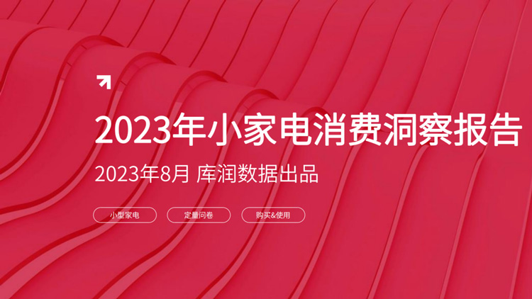 2023年小家电消费洞察报告