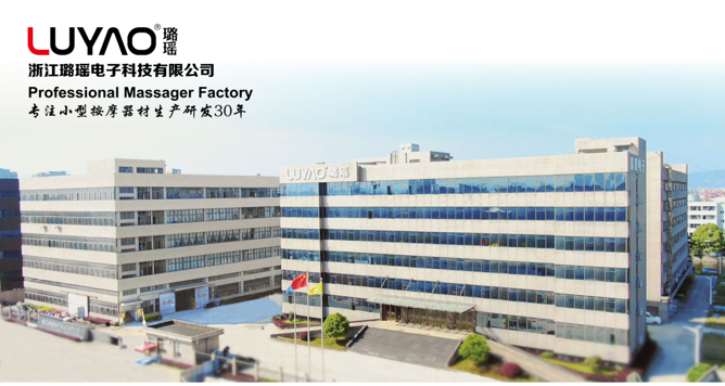 浙江璐瑶电子科技有限公司 1 浙江璐瑶电子科技有限公司