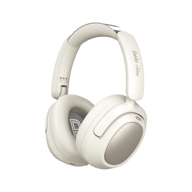 深圳市鲁乐电子科技有限公司-公司介绍