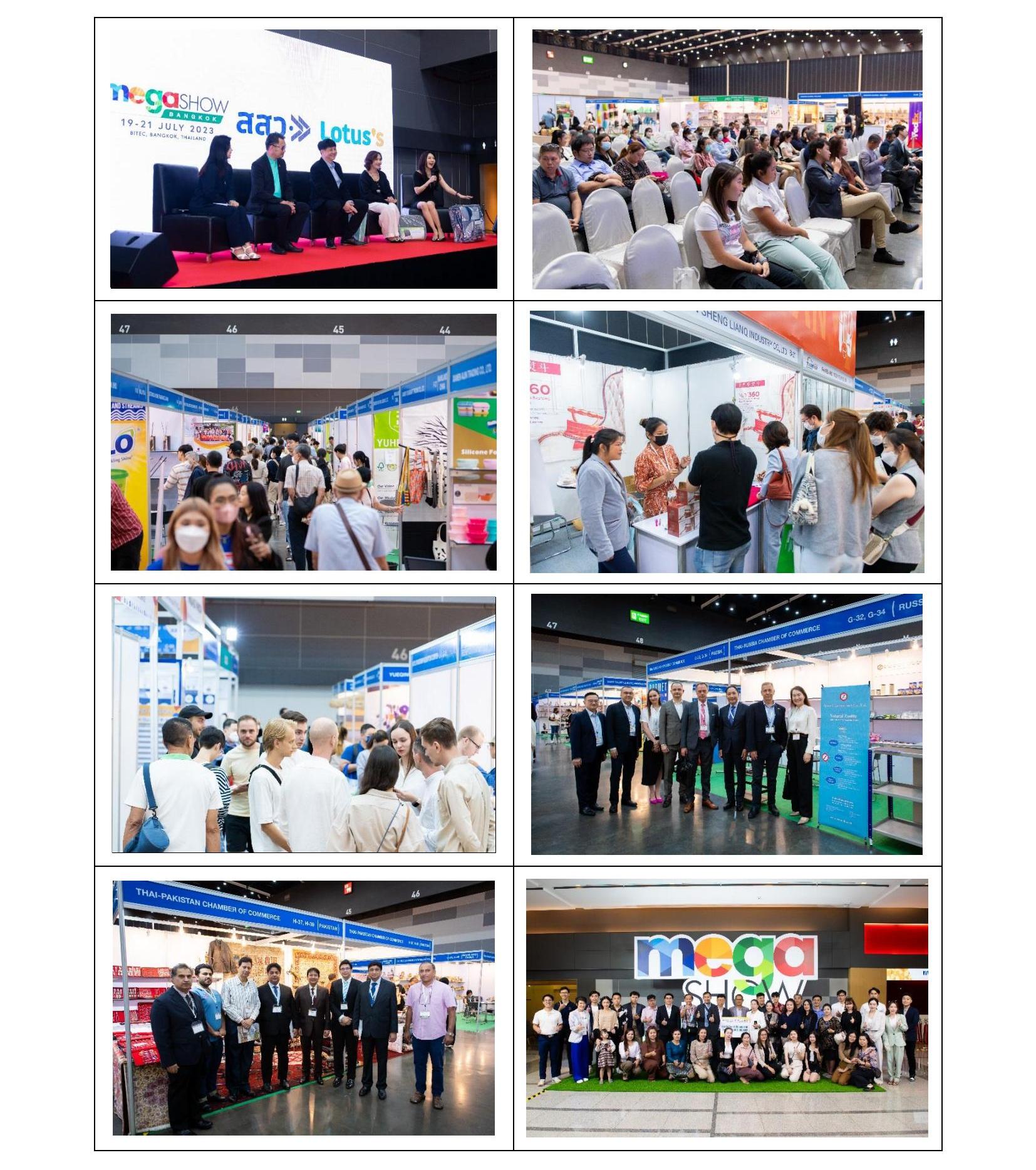 2024042916435829 2024泰国国际消费品及消费电子展览会