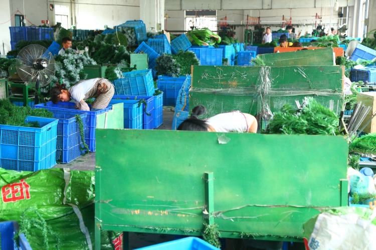 金华市金东区林雯圣诞工艺品厂-公司介绍 3 金华市金东区林雯圣诞工艺品厂-公司介绍
