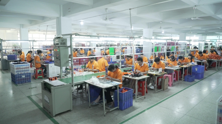 广东创意双星科技股份有限公司-公司介绍