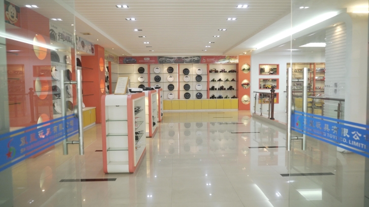 广东创意双星科技股份有限公司-公司介绍