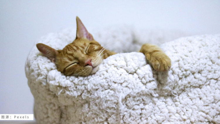 8月跨境营销月历，选品指南来袭