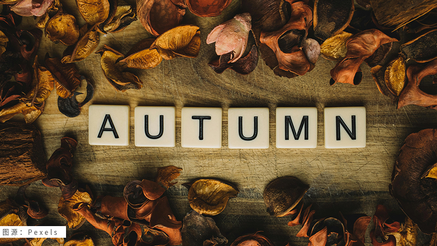 秋季购物旺季悄然启动，装饰用品搜索量飙升