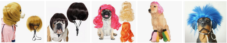 宠物界新宠!又一热门宠物用品疯狂热销 2 宠物界新宠!又一热门宠物用品疯狂热销