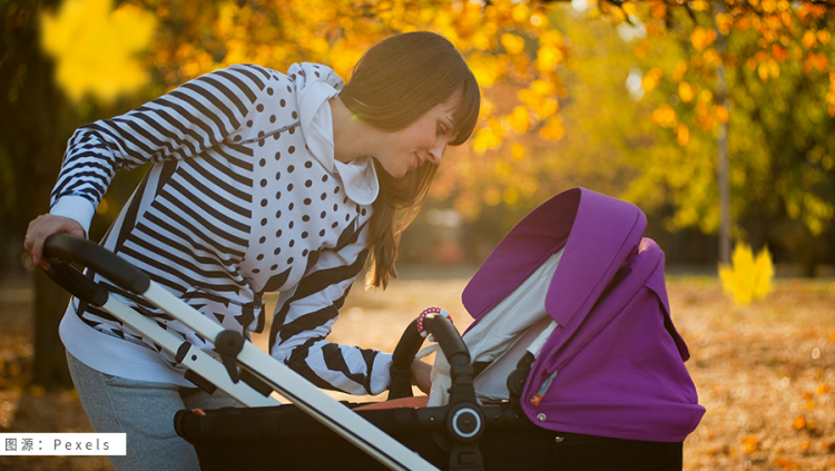 万亿蓝海,母婴赛道出海新商机