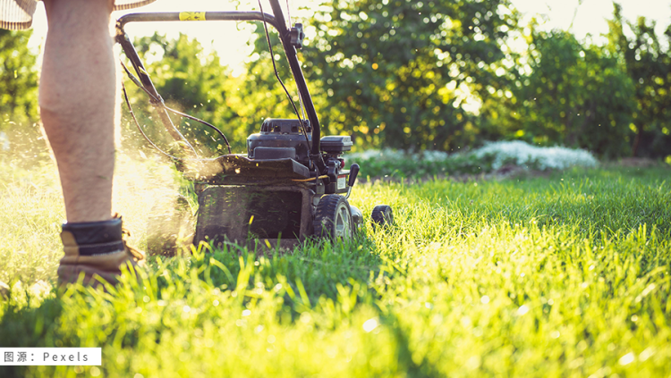 如何“收割”欧美草坪?“割”出海外新天地 - 跨境庭院经济 4 如何“收割”欧美草坪?“割”出海外新天地 - 跨境庭院经济
