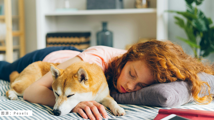 全球打盹?午间消费悄然兴起 2 全球打盹?午间消费悄然兴起