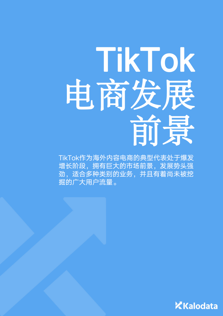 2024TikTok电商白皮书