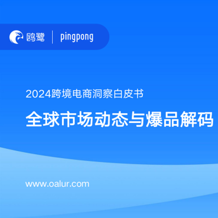 2024跨境电商洞察白皮书-全球市场动态与爆品解码