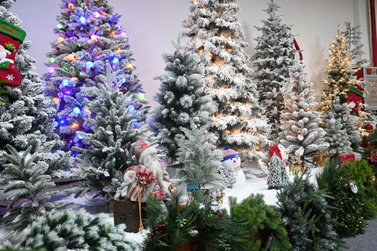 东莞市立美树灯科技有限公司-公司介绍