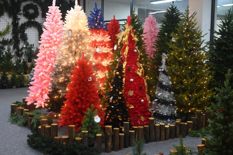 东莞市立美树灯科技有限公司-公司介绍