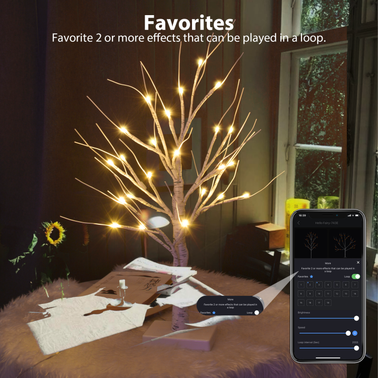 0.6m双支装白桦树