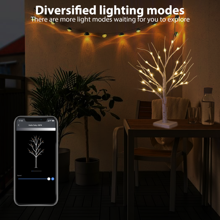 0.6m双支装白桦树