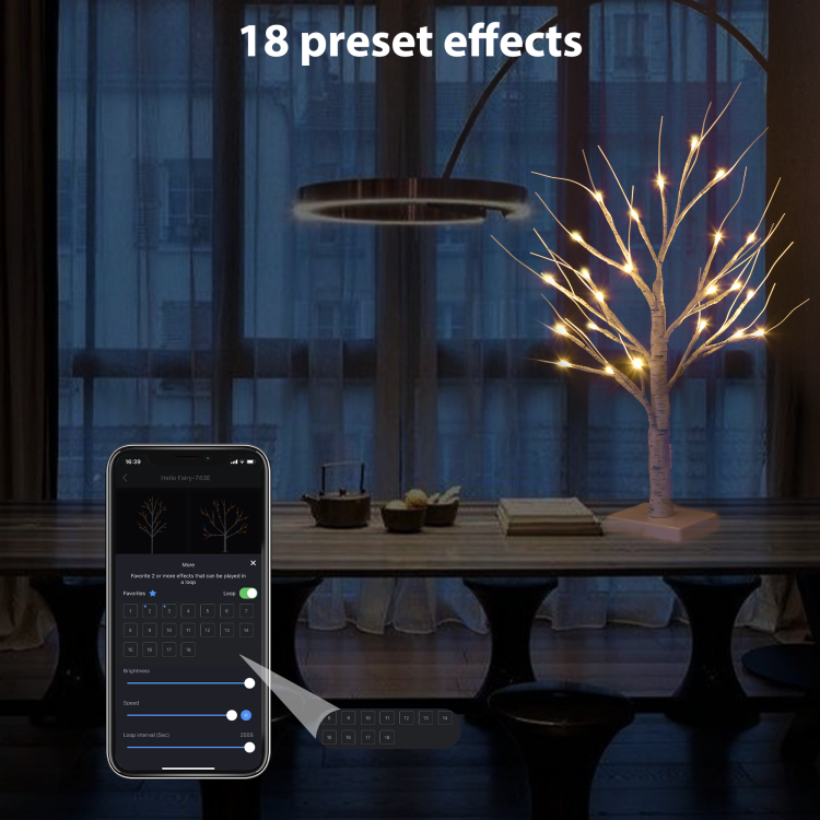 0.6m双支装白桦树