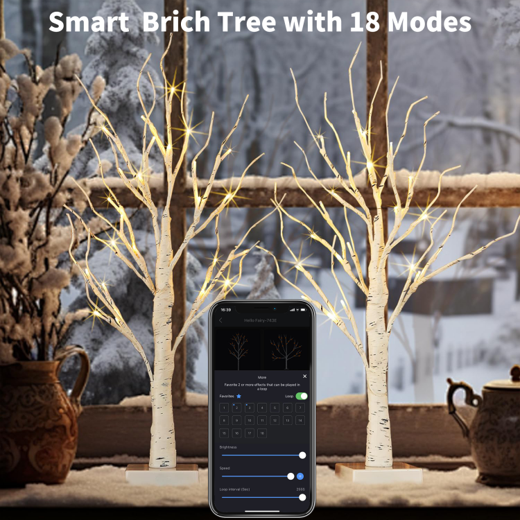 0.6m双支装白桦树