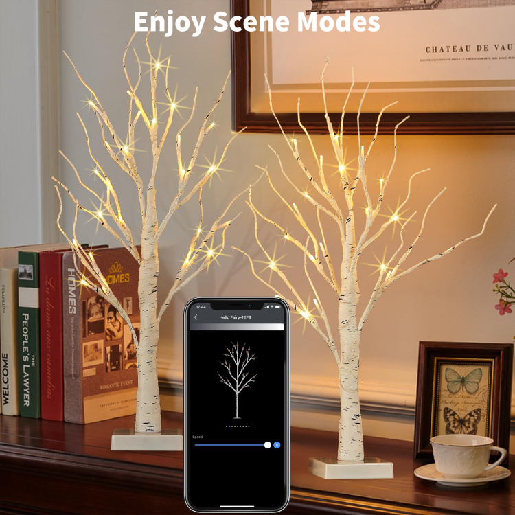 0.6m双支装白桦树