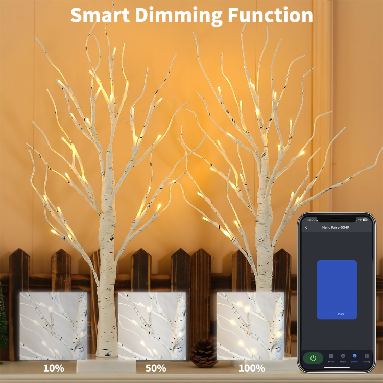 0.6m双支装白桦树