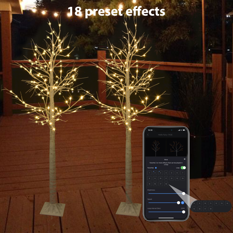 1.8m双支装白桦树