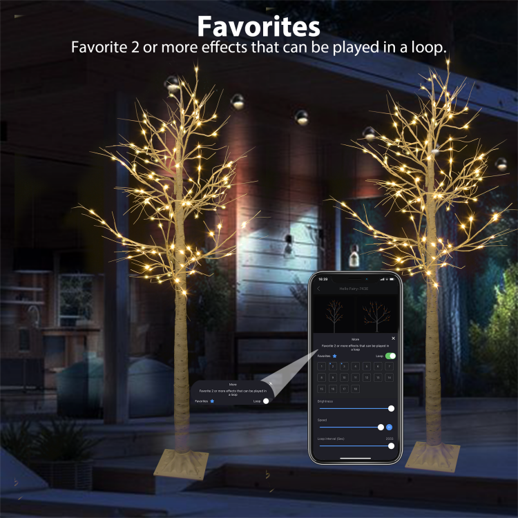 1.8m双支装白桦树