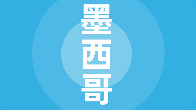 墨西哥贸易指南