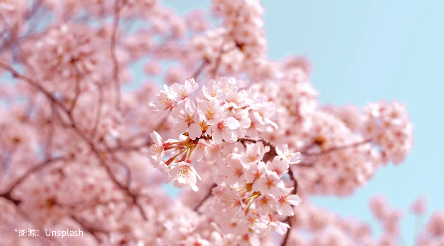 2025年“粤贸全球”广东商品境外展览项目——日韩篇