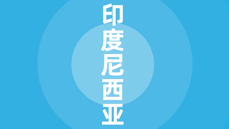 印度尼西亚贸易指南