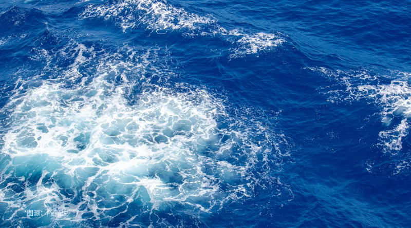 锦品出海双展齐发，咖啡香溢点燃跨境圈层热情