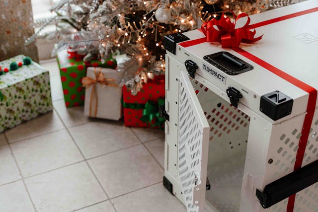 宠物用品跨境电商市场分析