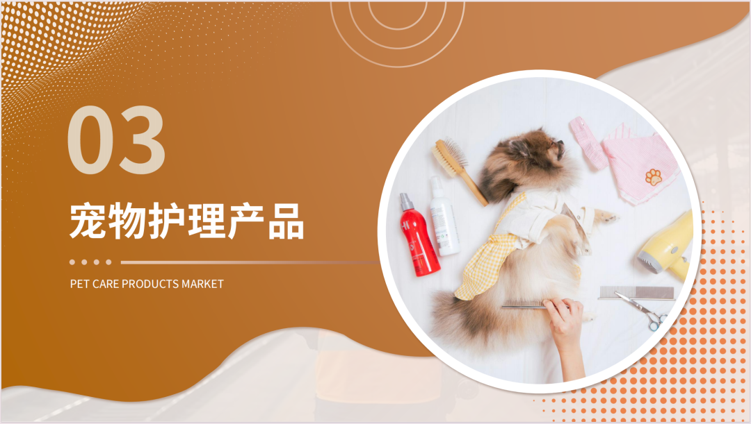 2025新兴宠物用品市场洞察报告(第32期) 25 2025新兴宠物用品市场洞察报告(第32期)