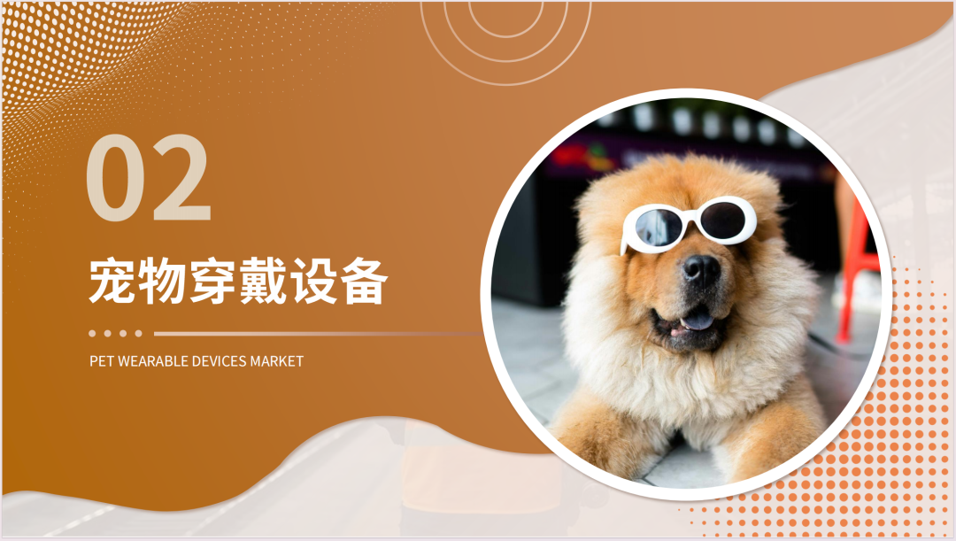 2025新兴宠物用品市场洞察报告(第32期) 15 2025新兴宠物用品市场洞察报告(第32期)