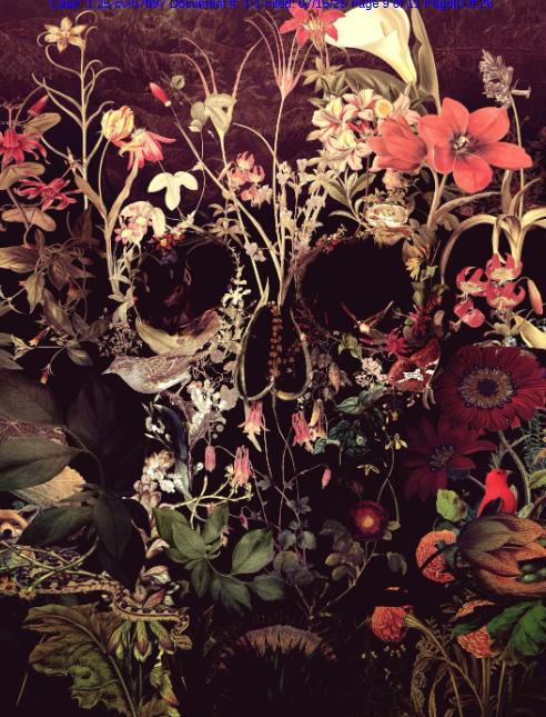 25-cv-07997，TRO新案！这5张骷髅版权画赶紧排查下架！