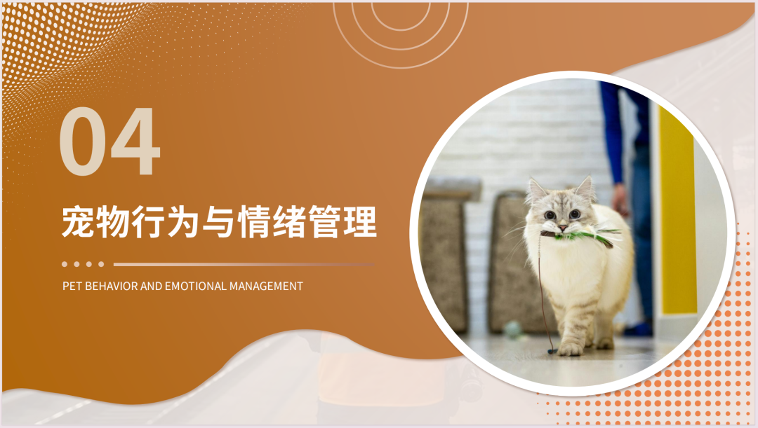 2025新兴宠物用品市场洞察报告(第32期) 34 2025新兴宠物用品市场洞察报告(第32期)