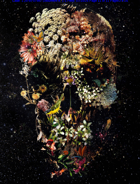 25-cv-07997，TRO新案！这5张骷髅版权画赶紧排查下架！