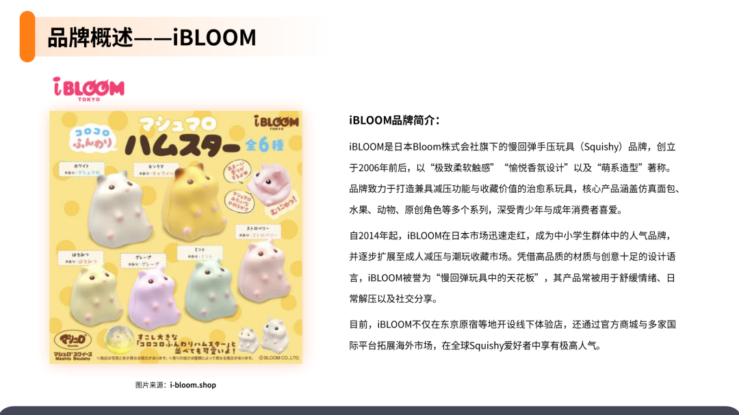 2025解压玩具产品市场洞察报告(第31期) 39 2025解压玩具产品市场洞察报告(第31期)