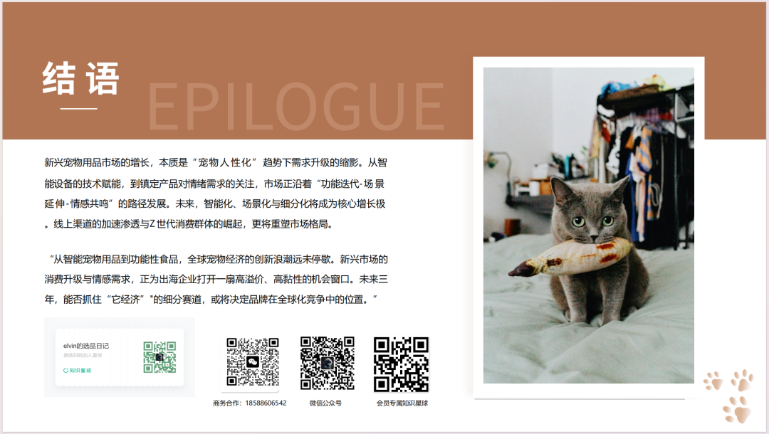 2025新兴宠物用品市场洞察报告(第32期) 42 2025新兴宠物用品市场洞察报告(第32期)
