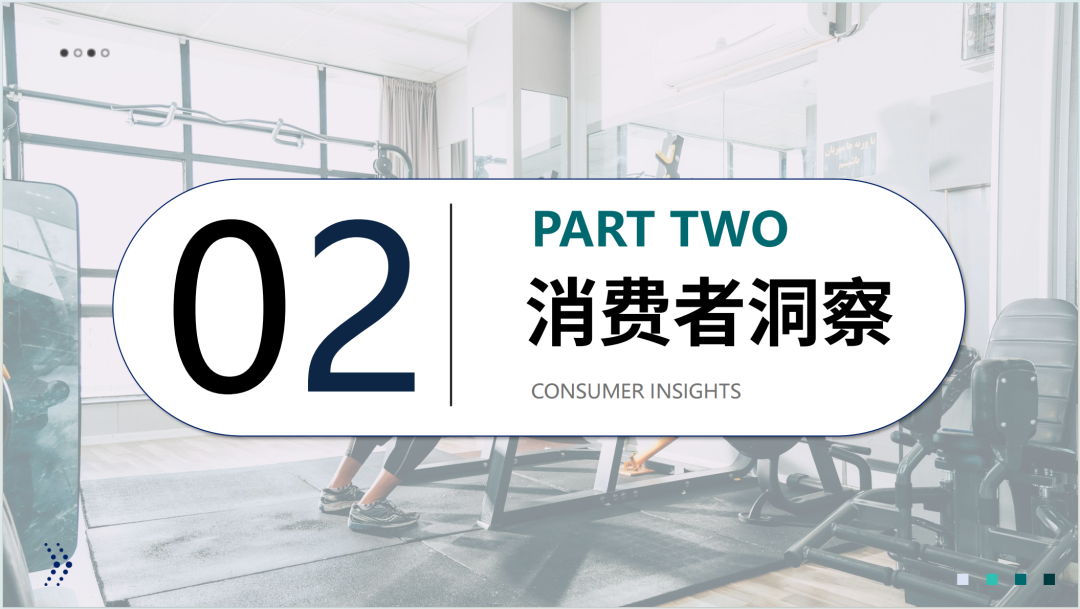 2025全球健身器材市场洞察报告(第33期) 12 2025全球健身器材市场洞察报告(第33期)