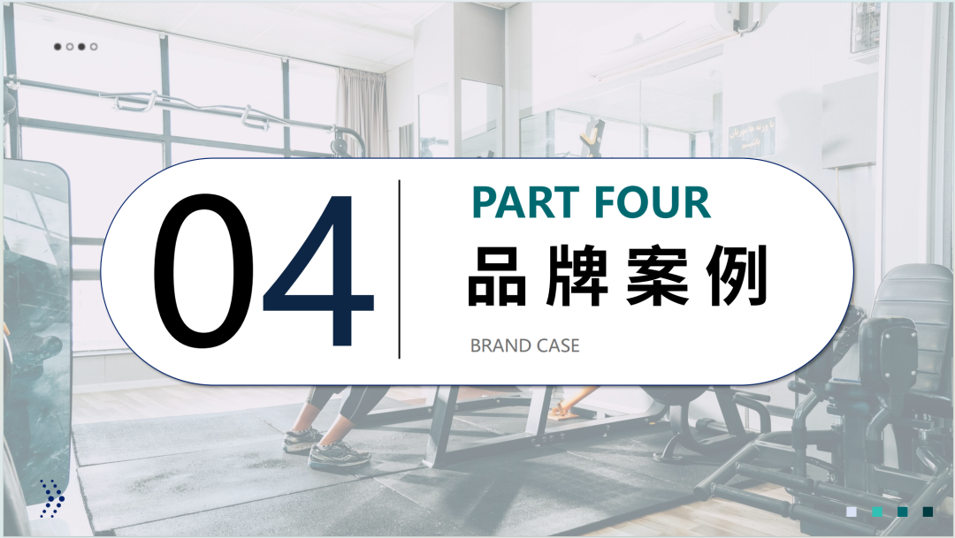 2025全球健身器材市场洞察报告(第33期) 26 2025全球健身器材市场洞察报告(第33期)
