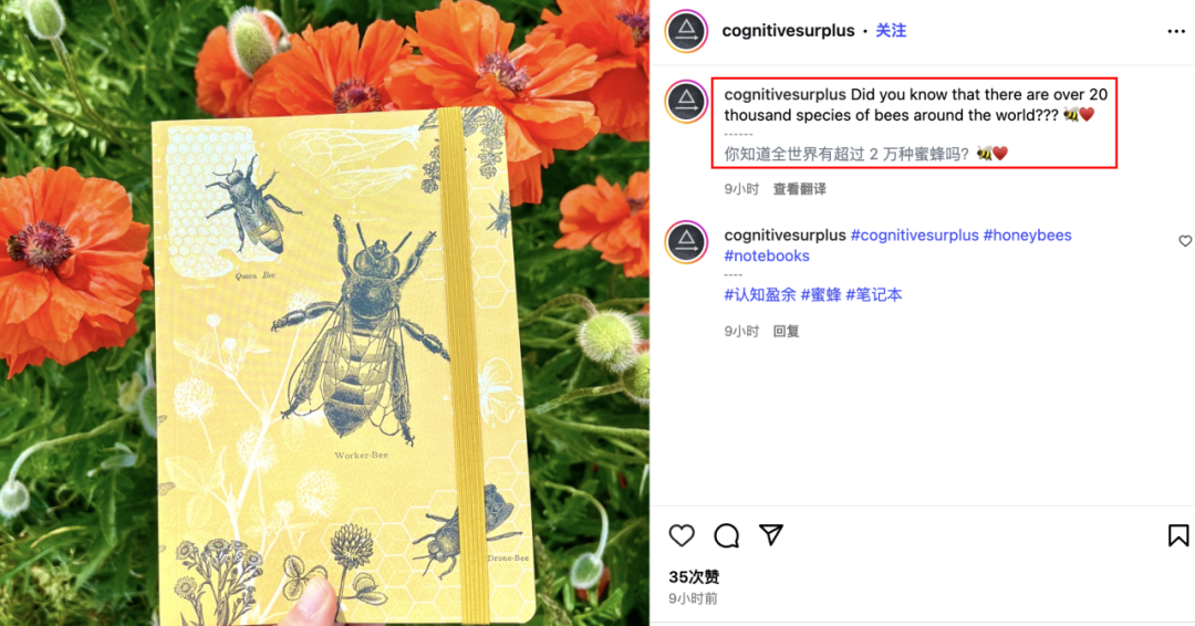 2人小作坊逆袭成明星卖家!看Cognitive Surplus如何把有毒植物印成爆款 4 2人小作坊逆袭成明星卖家!看Cognitive Surplus如何把有毒植物印成爆款