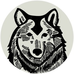 一根狗绳北美卖爆:Wilderdog如何让养狗人为户外豪掷千金? 2 一根狗绳北美卖爆:Wilderdog如何让养狗人为户外豪掷千金?