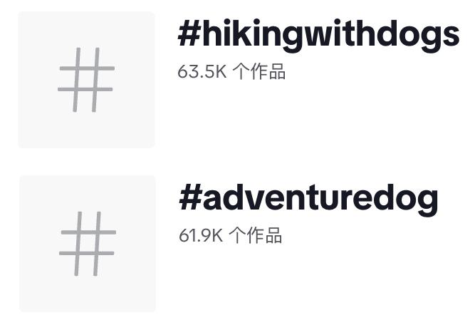 一根狗绳北美卖爆:Wilderdog如何让养狗人为户外豪掷千金? 1 一根狗绳北美卖爆:Wilderdog如何让养狗人为户外豪掷千金?